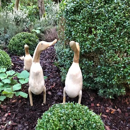 La Cour Sainte Catherine Demeure De Charme Honfleur