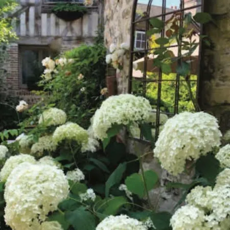 Bed & Breakfast La Cour Sainte Catherine Demeure De Charme 3*
