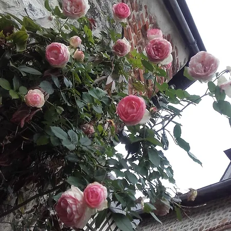 La Cour Sainte Catherine Demeure De Charme فندق مبيت وإفطار أونفلور