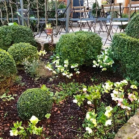 La Cour Sainte Catherine Demeure De Charme