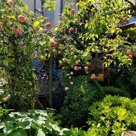 B&B La Cour Sainte Catherine Demeure De Charme 3*