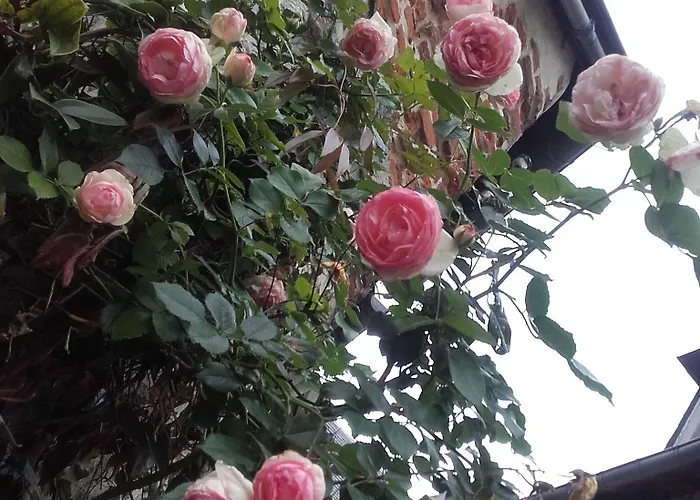 La Cour Sainte Catherine Demeure De Charme Bed & Breakfast Honfleur