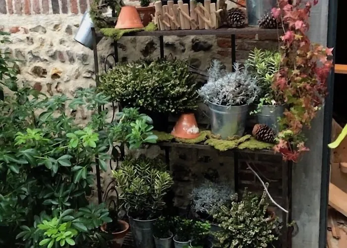 La Cour Sainte Catherine Demeure De Charme Bed & Breakfast 3*