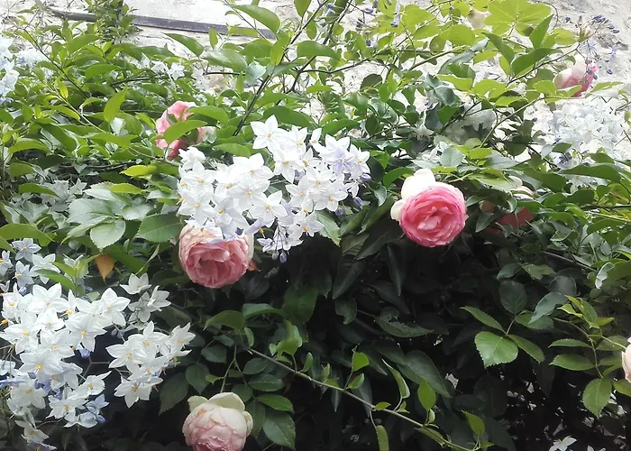 Bed & Breakfast La Cour Sainte Catherine Demeure De Charme 3*