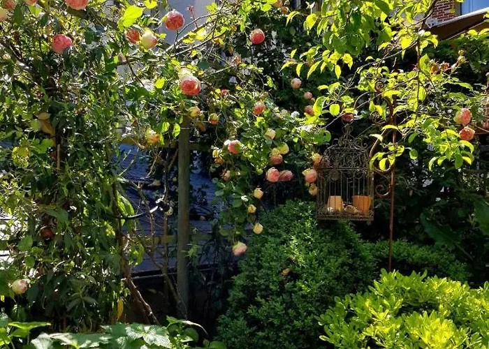 Bed & Breakfast La Cour Sainte Catherine Demeure De Charme 3*